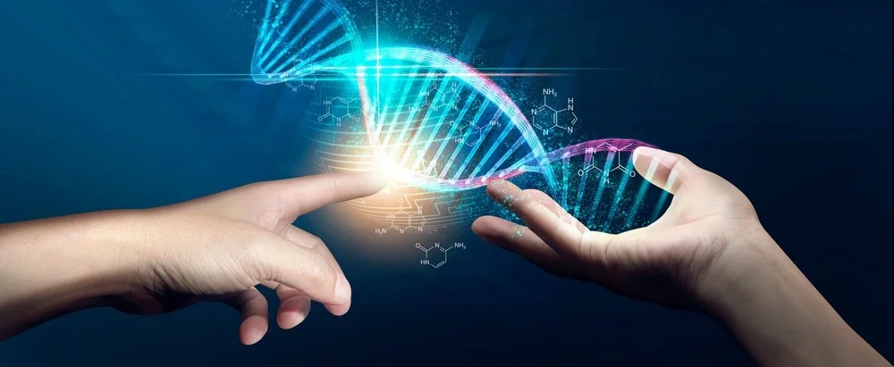 Molecular Phylogenetics